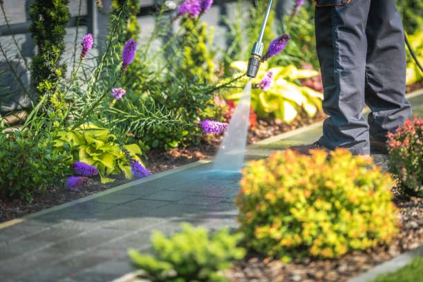 Best Gutter Cleaning  in Little Rock, AR